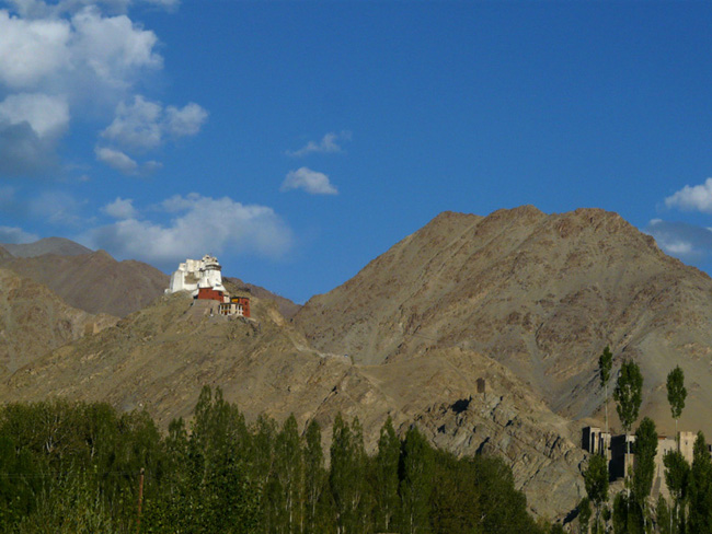 pic00031