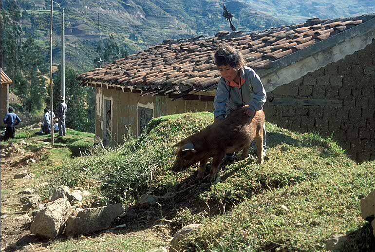 peru-001
