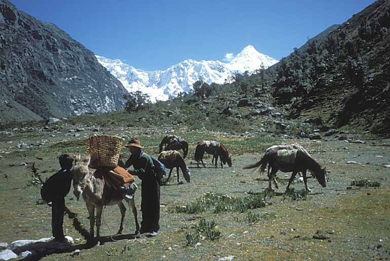 peru06