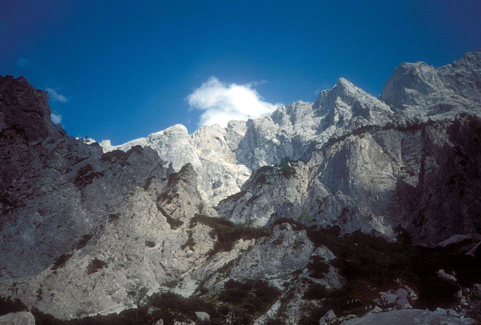 rosskuppe04