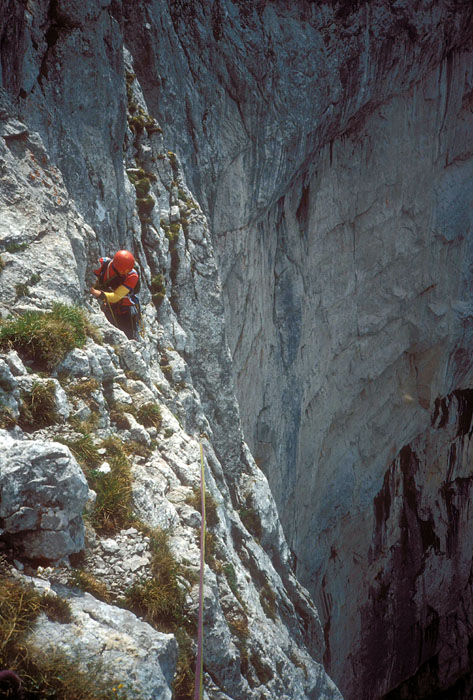 rosskuppe10