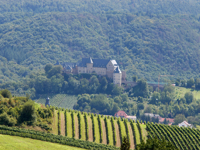 rotenfels016