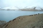 tibet/tibet026.jpg