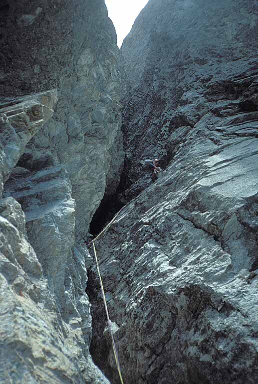 tofana013
