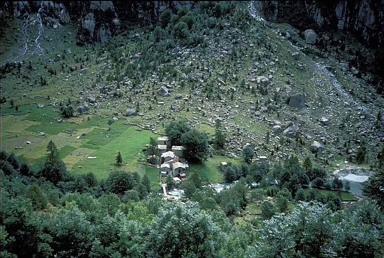 valdi004