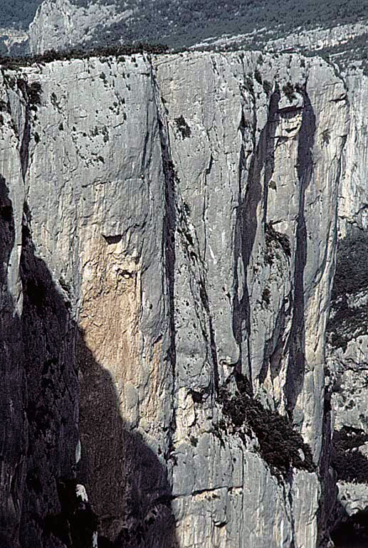verdon008