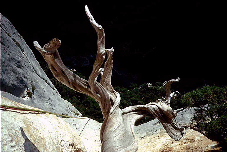verdon0006