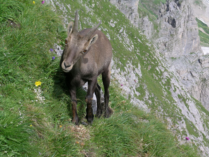 wenden047