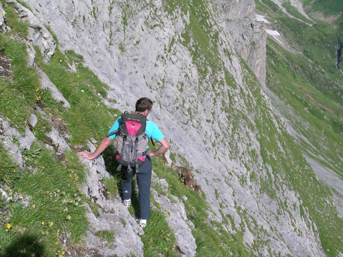 wenden048